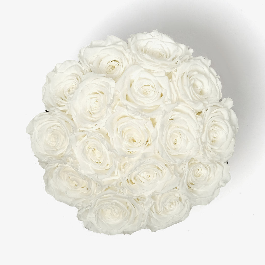 Large White Bloom Rose Box