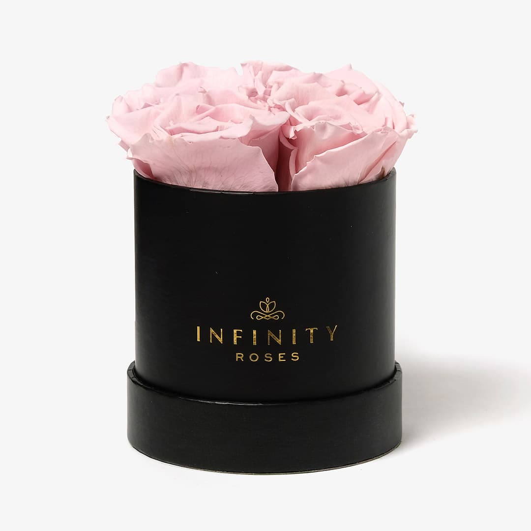 Small Pink Rose Box