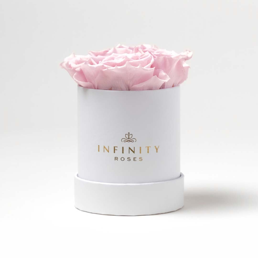 Small Pink Rose Box