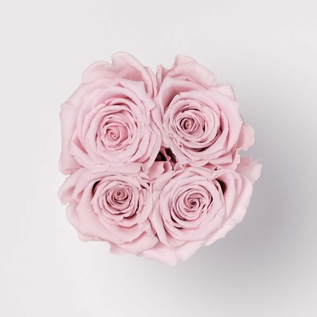 Small Pink Rose Box