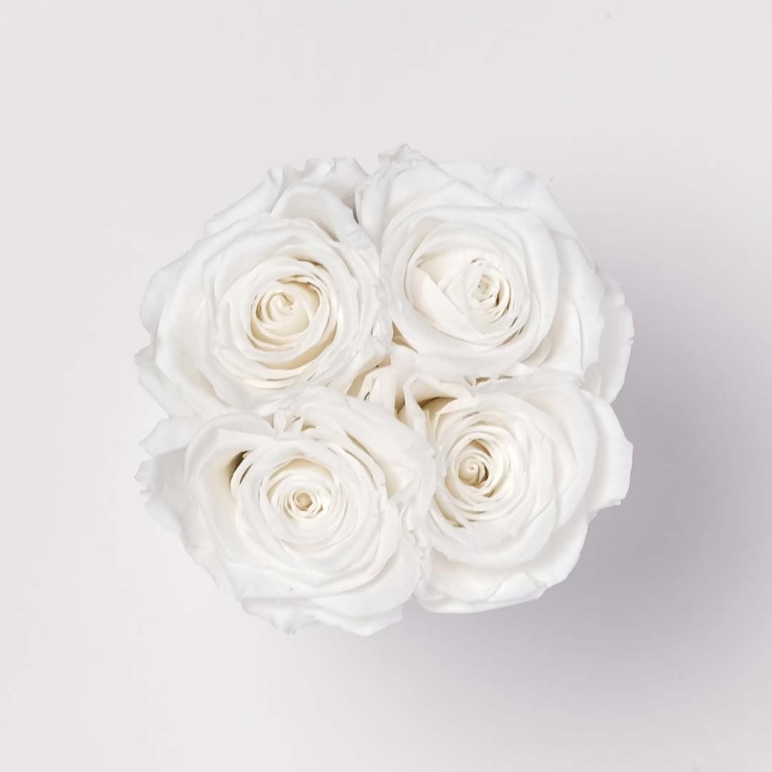 Small White Rose Box