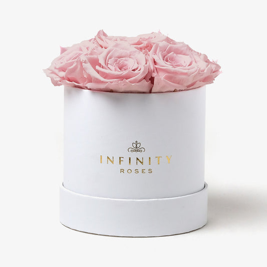 Medium Pink Bloom Rose Box