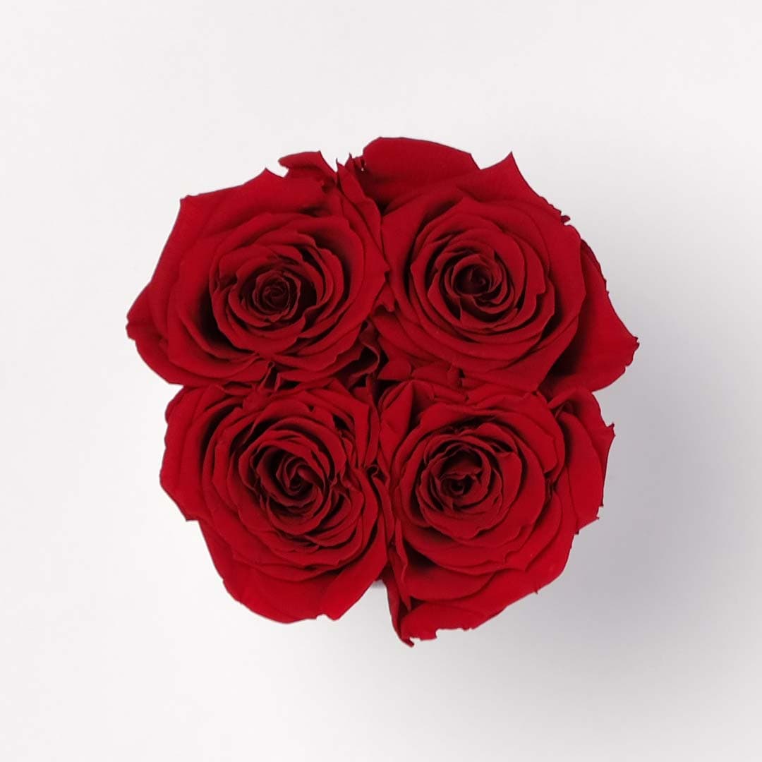 Small Red Rose Box