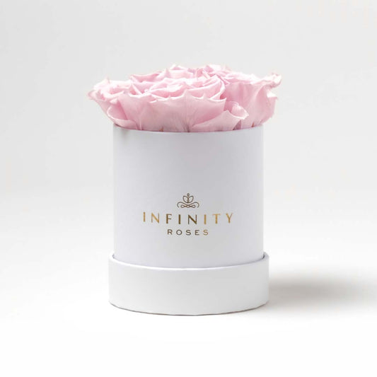 Small Pink Rose Box