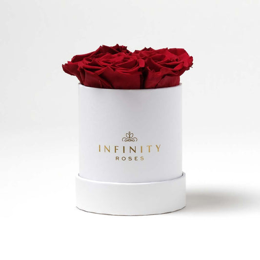 Small Red Rose Box